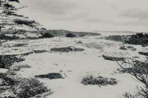 Bilde av Vindmølla på Enge